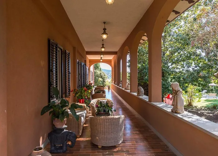 Michelangelo 14 * Корчано