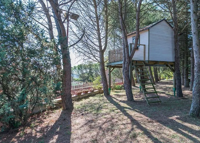 Michelangelo 14 Корчано